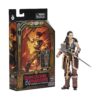 Hasbro Fans - Dungeons & Dragons Honor Among Thieves: Golden Archive Action Figure - Holga (F4866)